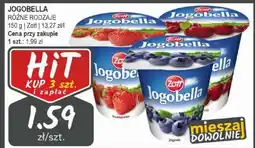 Słoneczko Jogobella zott oferta