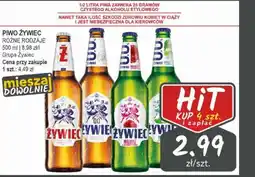 Słoneczko Piwo żywiec oferta