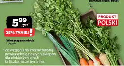 Netto Włoszczyzna młoda oferta