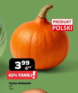 Netto Dynia Hokkaido oferta