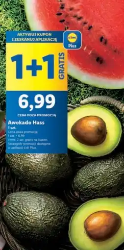 Lidl Awokado hass oferta