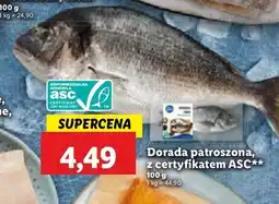 Lidl Dorada patroszona oferta