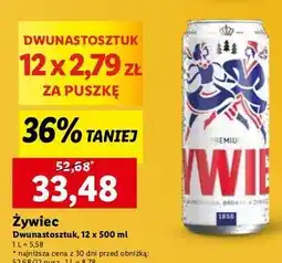 Lidl Piwo Żywiec Jasne Pełne oferta