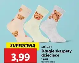 Lidl Skarpetki dziecięce Moraj oferta