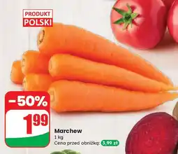 Dino Marchew polska oferta