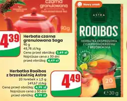 Dino Herbata z czerwonokrzewu brzoskwinią Astra Rooibos oferta