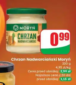 Dino Chrzan nadwarciański Moryń oferta