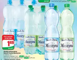 Dino Woda niegazowana Muszyna Skarb Życia oferta