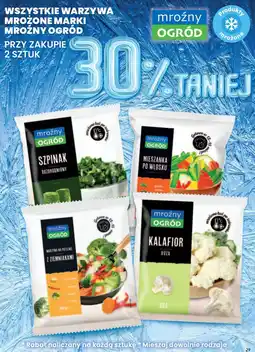 Dino Warzywa na patelnie z ziemniakami Mroźny Ogród oferta