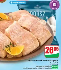 Dino Dorsz czarny Family Fish oferta