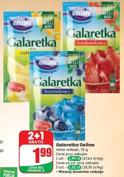 Dino Galaretka borówkowa Gellwe oferta