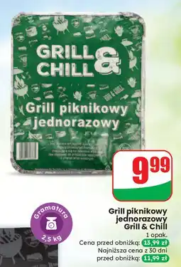 Dino Grill jednorazowy & Chill oferta