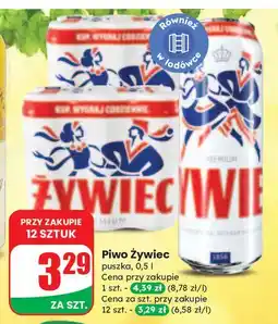 Dino Piwo Żywiec Jasne Pełne oferta