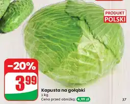 Dino Kapusta na gołąbki oferta