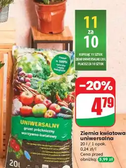 Dino Ziemia uniwersalna oferta
