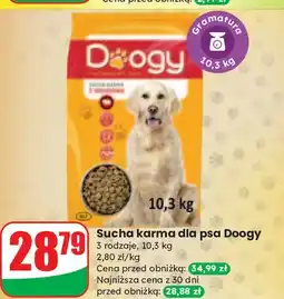 Dino Karma dla psa z wołowiną Doogy oferta