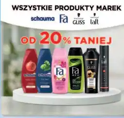 Dino Lakier do włosów Taft Power oferta