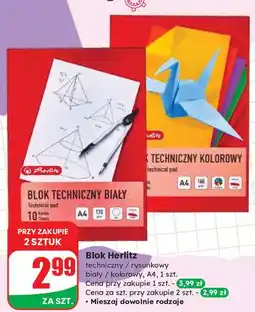 Dino Blok techniczny a4/10k biały Herlitz oferta