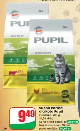 Dino Karma dla kota z wołowiną Pupil oferta