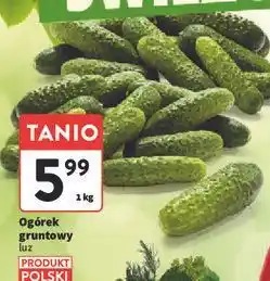 Intermarche Ogórek gruntowy polska oferta