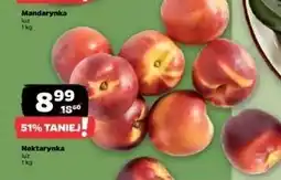 Netto Nektarynki oferta