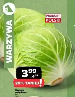 Netto Kapusta na gołąbki polska oferta