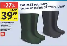 Intermarche Kalosze oferta