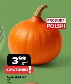 Netto Dynia hokkaido polska oferta