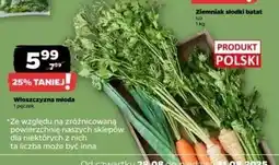 Netto Włoszczyzna młoda polska oferta