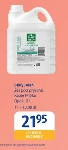dm drogerie markt Biały Jeleń Żel pod prysznic Kozie Mleko oferta