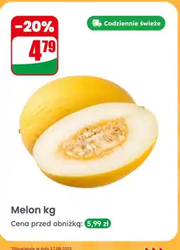 Dino Melon żółty Dino oferta