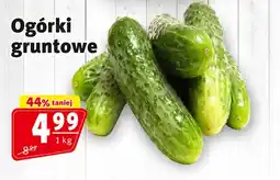 Prim Market Ogórki gruntowe oferta
