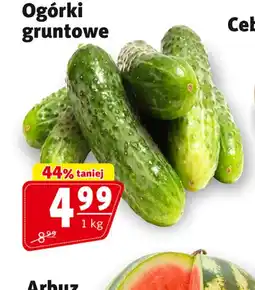 Prim Market Ogórki gruntowe oferta