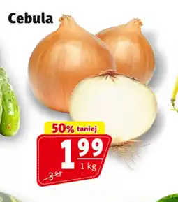 Prim Market Cebula oferta
