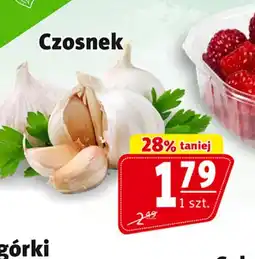 Prim Market Czosnek oferta
