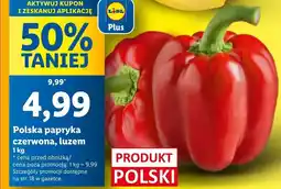 Lidl Papryka Polski oferta