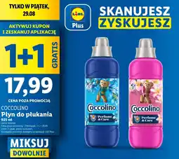 Lidl Płyn do płukania Coccolino oferta