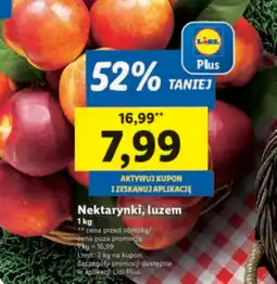 Lidl Nektarynki Lidl oferta