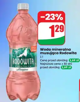 Dino Woda mineralna Rodowita oferta