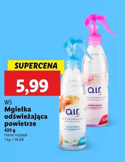 Lidl Mgiełka W5 oferta