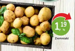 Passa Ziemniaki oferta
