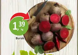 Passa Burak oferta