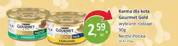 Passa Karma dla kota Gourmet Gold Nestle Polska oferta