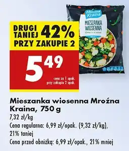 Biedronka Mieszanka wiosenna Mroźna Kraina oferta