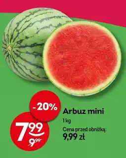 Żabka Arbuz mini Żabka oferta