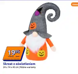Action Skrzat oferta