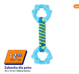 Action Zabawka dla psa oferta