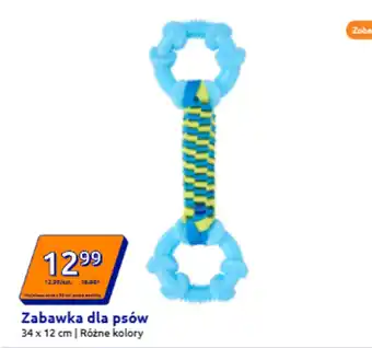 Action Zabawka dla psa oferta