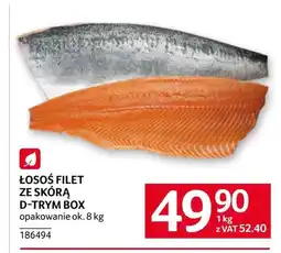 Selgros Łosoś Ok oferta