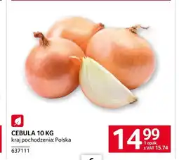 Selgros Cebula oferta
